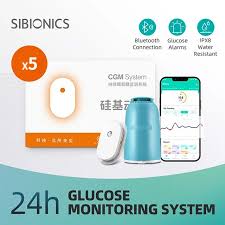 Blood Glucose Meter 24h Real Time Monitoring