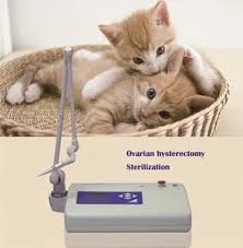 Veterinary CO2 Laser Equipment